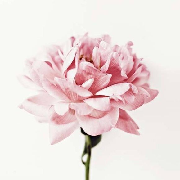 flowergkrl